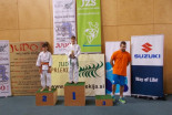 Judo Prlekija open