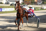 Kasaške dirke v Ljutomeru