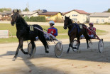 Kasaške dirke v Ljutomeru