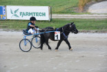 Kasaške dirke v Ljutomeru