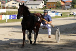 Kasaške dirke v Ljutomeru