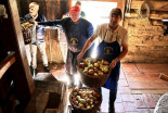 Prešanje jabolk na stari način v Sovjaku