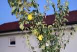 Vino in prijateljstvo 2019