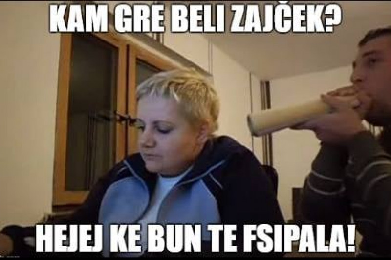 Kam gre beli zajček?