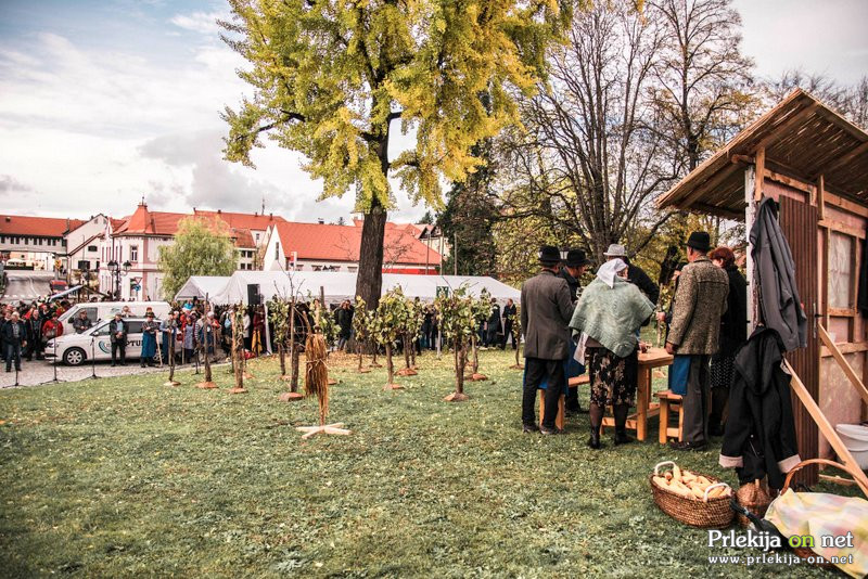 Martinovanje v Ormožu