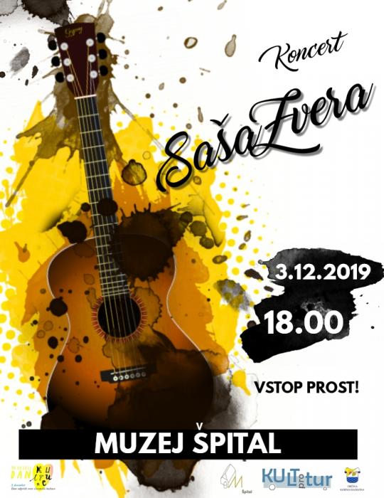 TA VESELI DAN KULTURE: KONCERT SAŠA ZVERA