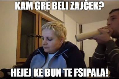 Kam gre beli zajček?