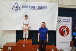 Miklavžev turnir v Lendavi