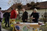 1. adventna nedelja in sveta maša za čebelarje