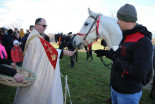 Blagoslov konj v Benediktu