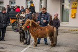 Blagoslov konjev v Križevcih pri Ljutomeru