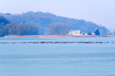 Zamrznjeno Gajševsko jezero