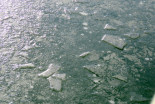 Zamrznjena Ščavnica
