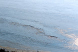 Zamrznjeno Gajševsko jezero