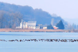 Zamrznjeno Gajševsko jezero