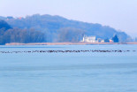 Zamrznjeno Gajševsko jezero