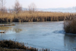 Zamrznjeno Gajševsko jezero