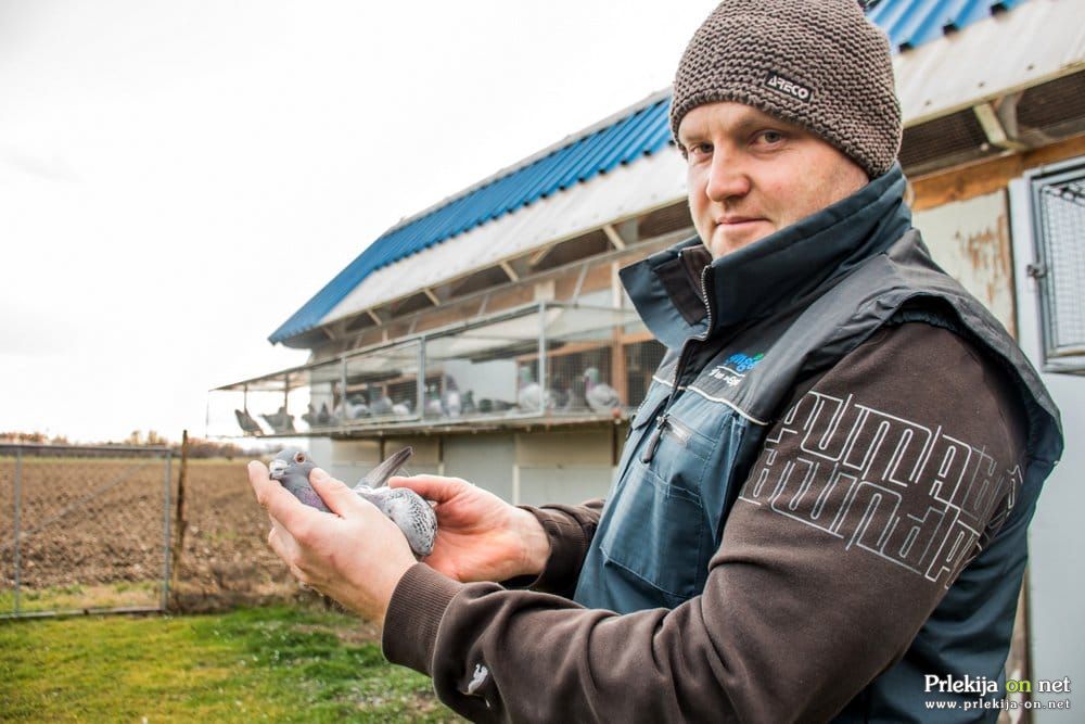 Miha Sovič, foto: Sara Vinkovič