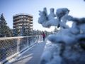 Pot med krošnjami Pohorje na Rogli