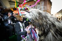 Medcelinsko srečanje tradicionalnih pustnih likov in mask