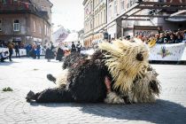 Medcelinsko srečanje tradicionalnih pustnih likov in mask