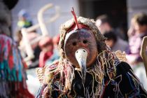 Medcelinsko srečanje tradicionalnih pustnih likov in mask