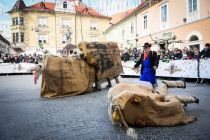 Medcelinsko srečanje tradicionalnih pustnih likov in mask