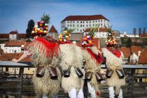 Medcelinsko srečanje tradicionalnih pustnih likov in mask