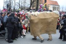 Mednarodna karnevalska povorka na Ptuju