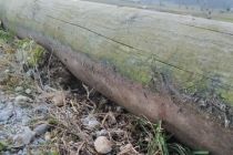 Poškodbe na potki ob Gajševskem jezeru