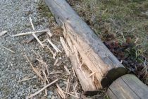Poškodbe na potki ob Gajševskem jezeru