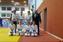 Prleški judoisti v Hočah