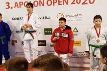 Prleški judoisti v Hočah