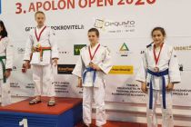 Prleški judoisti v Hočah