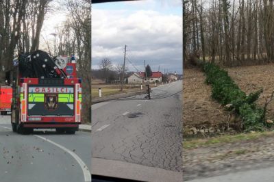 Veter povzroča številne nevšečnosti