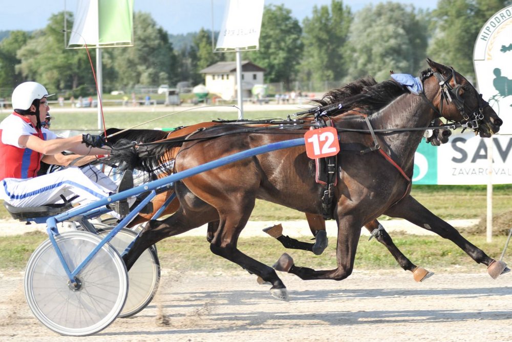 Marko Slana in Frodo S, foto: Kasaška zveza Slovenije