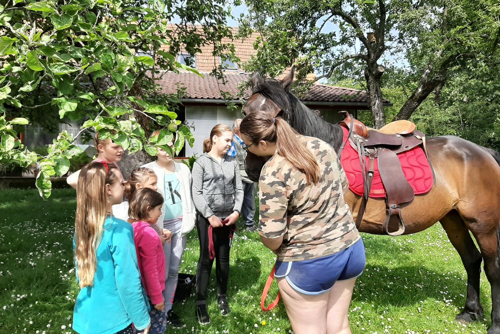 Mladi in konjski šport v Mladinskem centru Prlekije