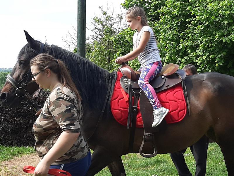 Mladi in varovanje narave ter živali