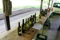 26. ocenjevanje vina na Podgradju