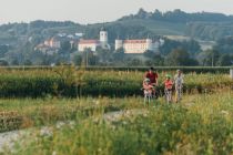 Dravska kolesarska pot - Drava Bike