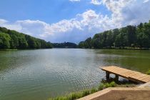 Forest glamping resort Blaguš