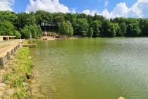 Forest glamping resort Blaguš