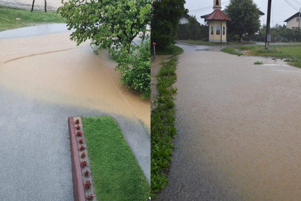 Neurje na območju Središča ob Dravi in Križevcev, foto: Aleš Lesničar in Tadeja Vrbnjak Zorman