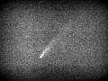 Komet Neowise nad Ljutomerom