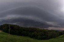 Neurje nad Razkrižjem