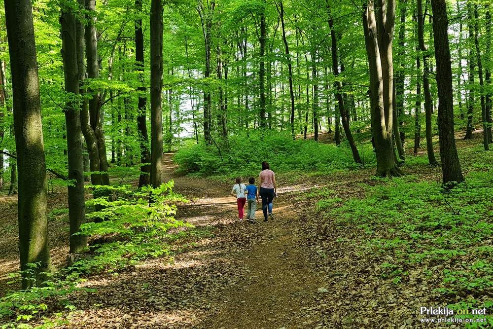 V gozdu upoštevajmo gozdni bonton in z gozdom ravnajmo skrbno