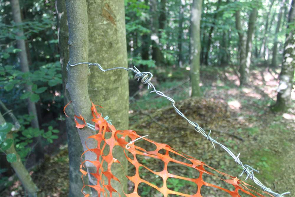 Napeta mreža in bodeča žica, foto: PP Ruše