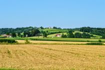 Panoramska vožnja Traktorskih veteranov