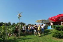 Postavljanje klopotca Društva vinogradnikov Sveta Trojica