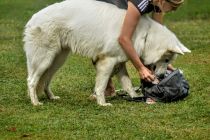 Spoznavno srečanje na poligonu v Lukavcih